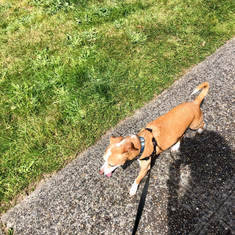 Meet your Posher, Andi